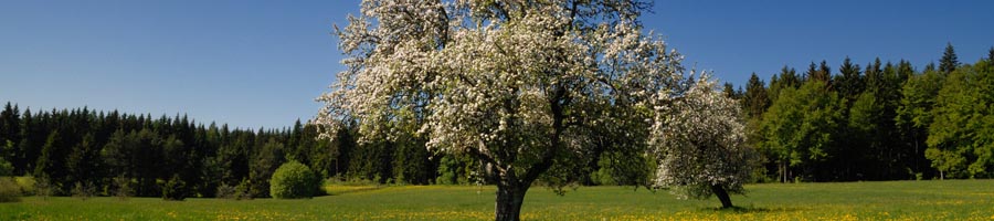 conni_eyrich_0012_Ebene 3.jpg